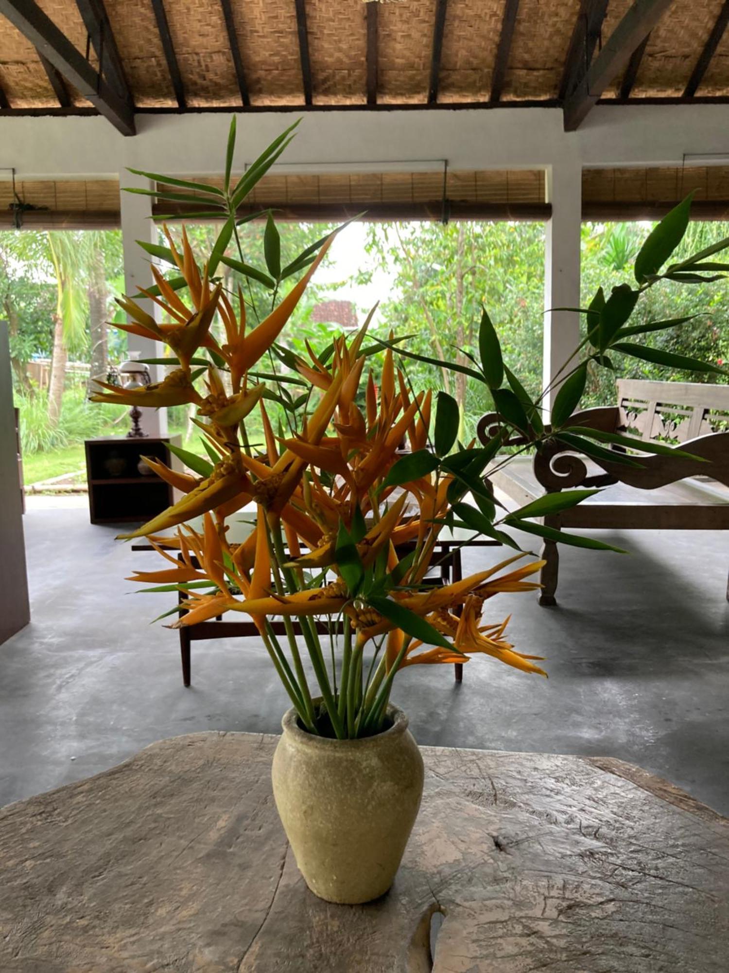 Ohmmstay - Rumah Pendopo Tanjungtirto Exterior photo