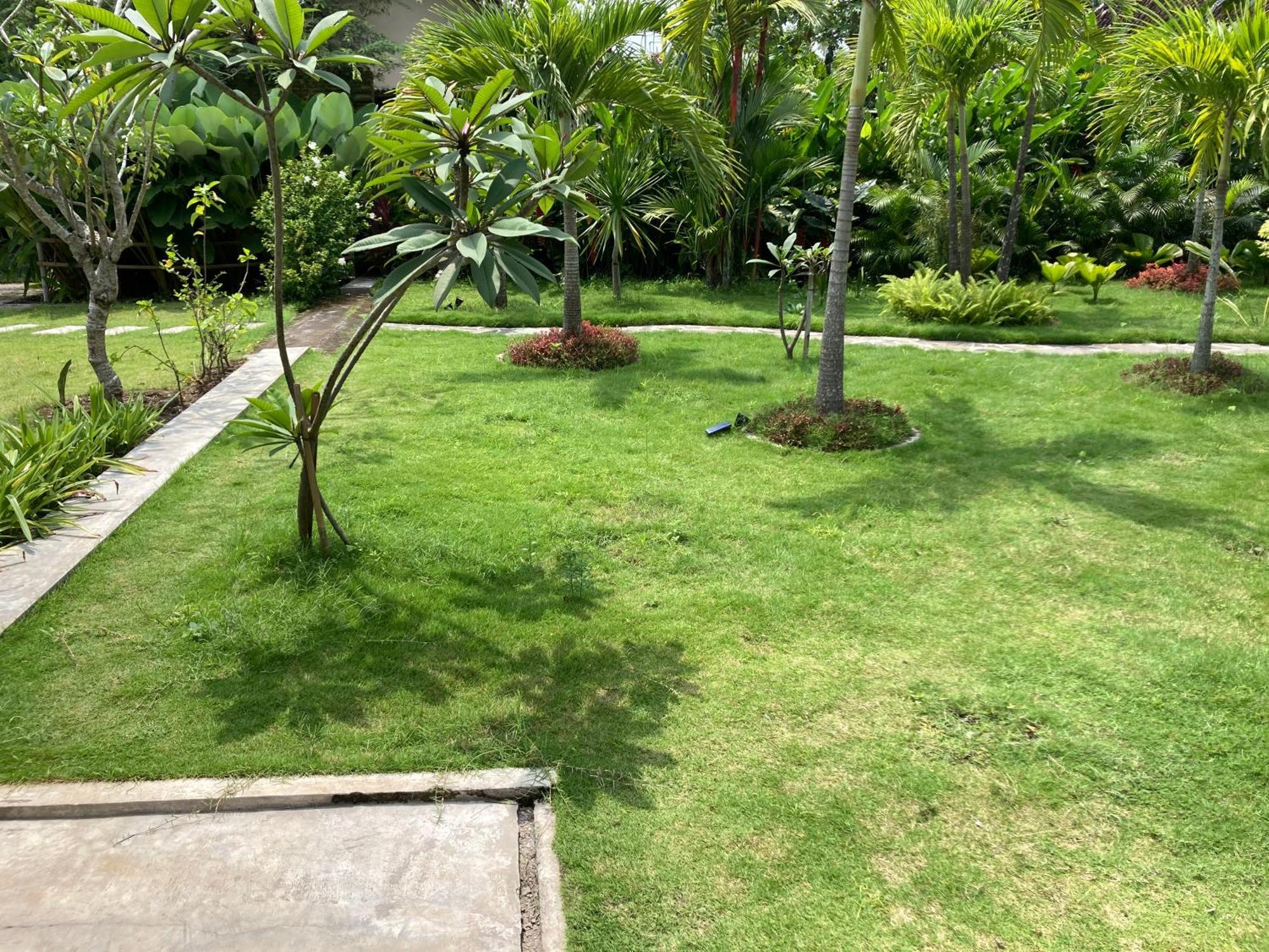 Ohmmstay - Rumah Pendopo Tanjungtirto Exterior photo